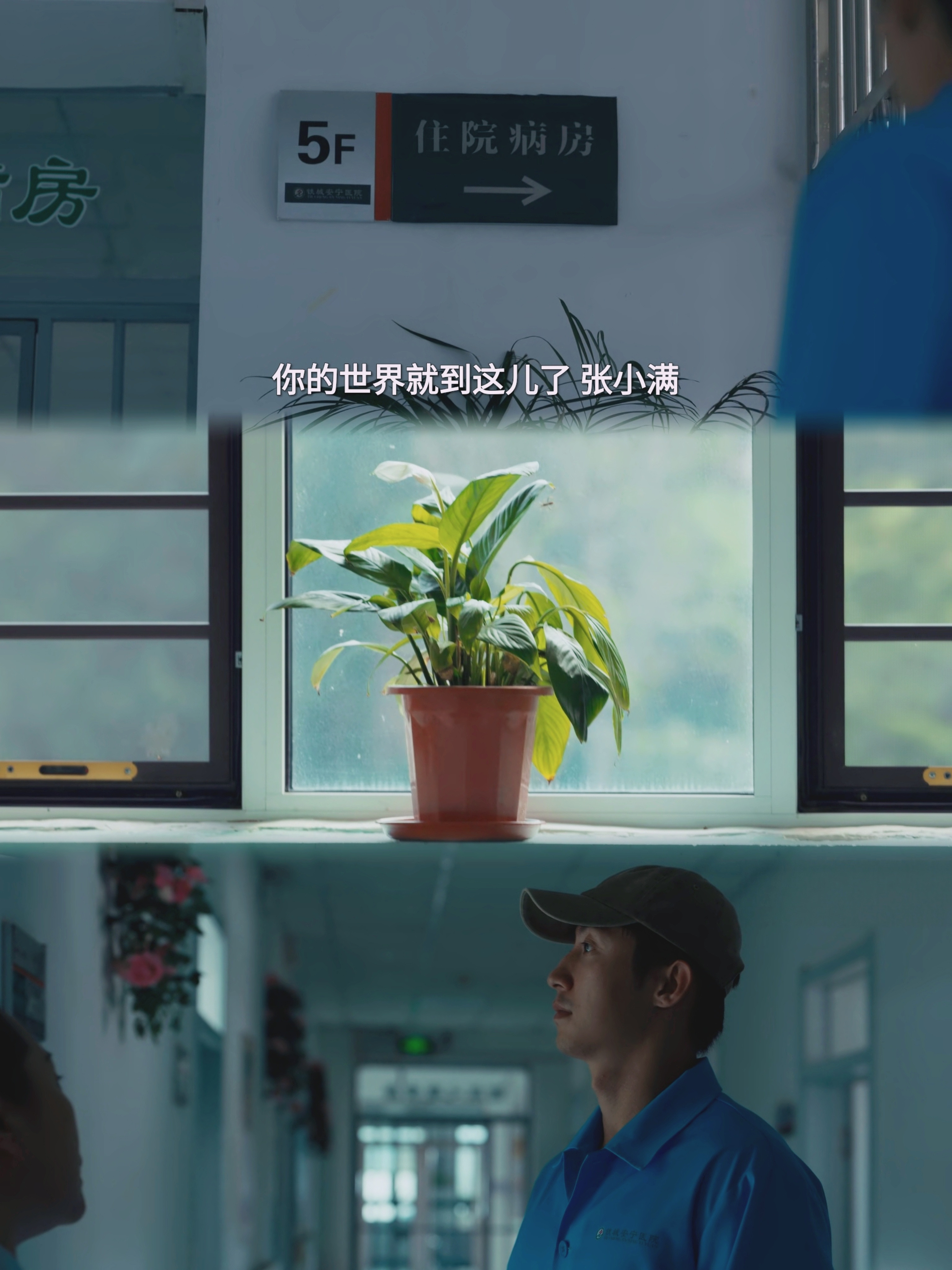 《岁月有情时》第24集，住进安定医院的那一刻，张小满的心就像他病房里这盆草一样，