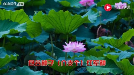 累了吧 送你一首好听醉人的歌曲,祝晚安好梦 打开 这首歌刚出来就超过