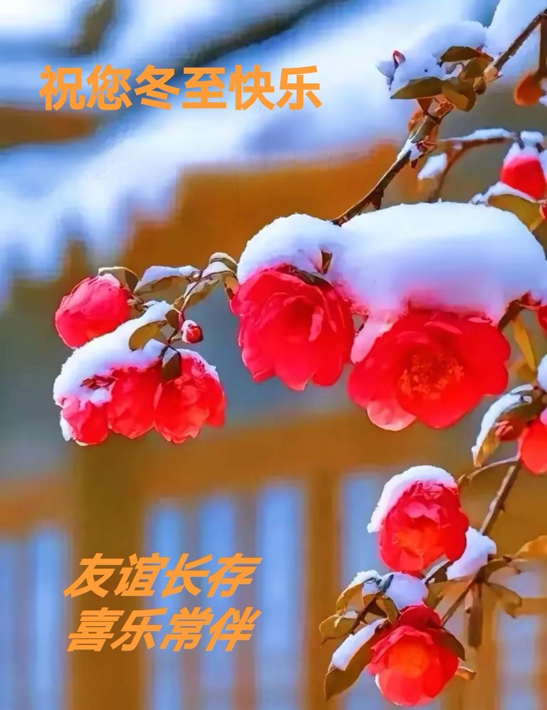 今年的冬至，仿佛在传统与现代之间找到了新的平衡点。我们习以为常的“煮饺子、吃汤