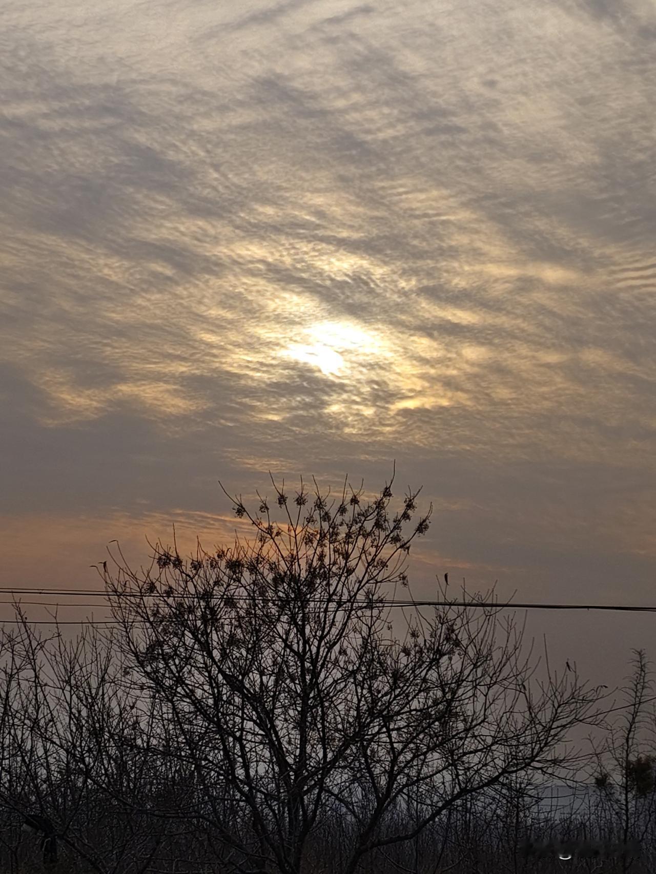 这是冬日落幕前的温柔。枯树的枝桠是季节的笔触，把天空切成细碎的暖。太阳裹在