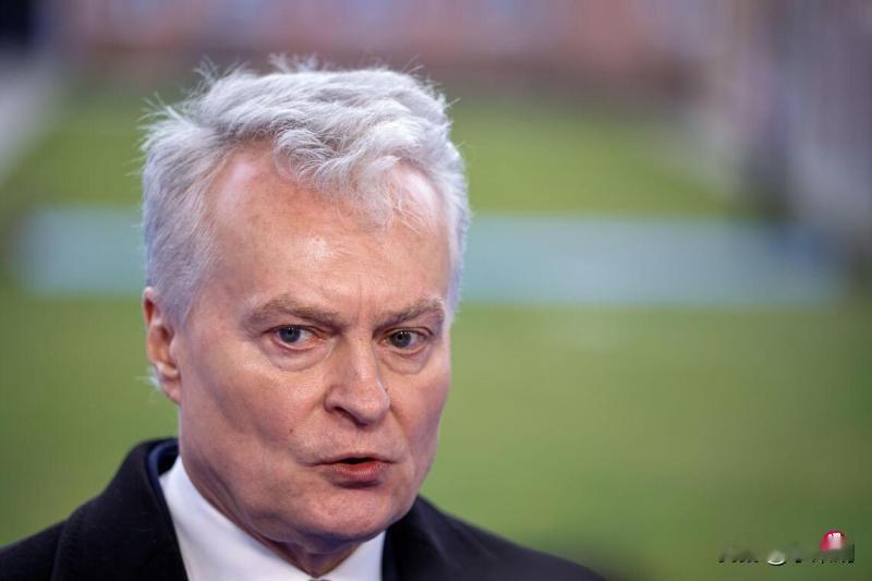 果不其然立陶宛再次出尔反尔2月12日，立陶宛总统瑙塞达表示更改台湾代表处的名