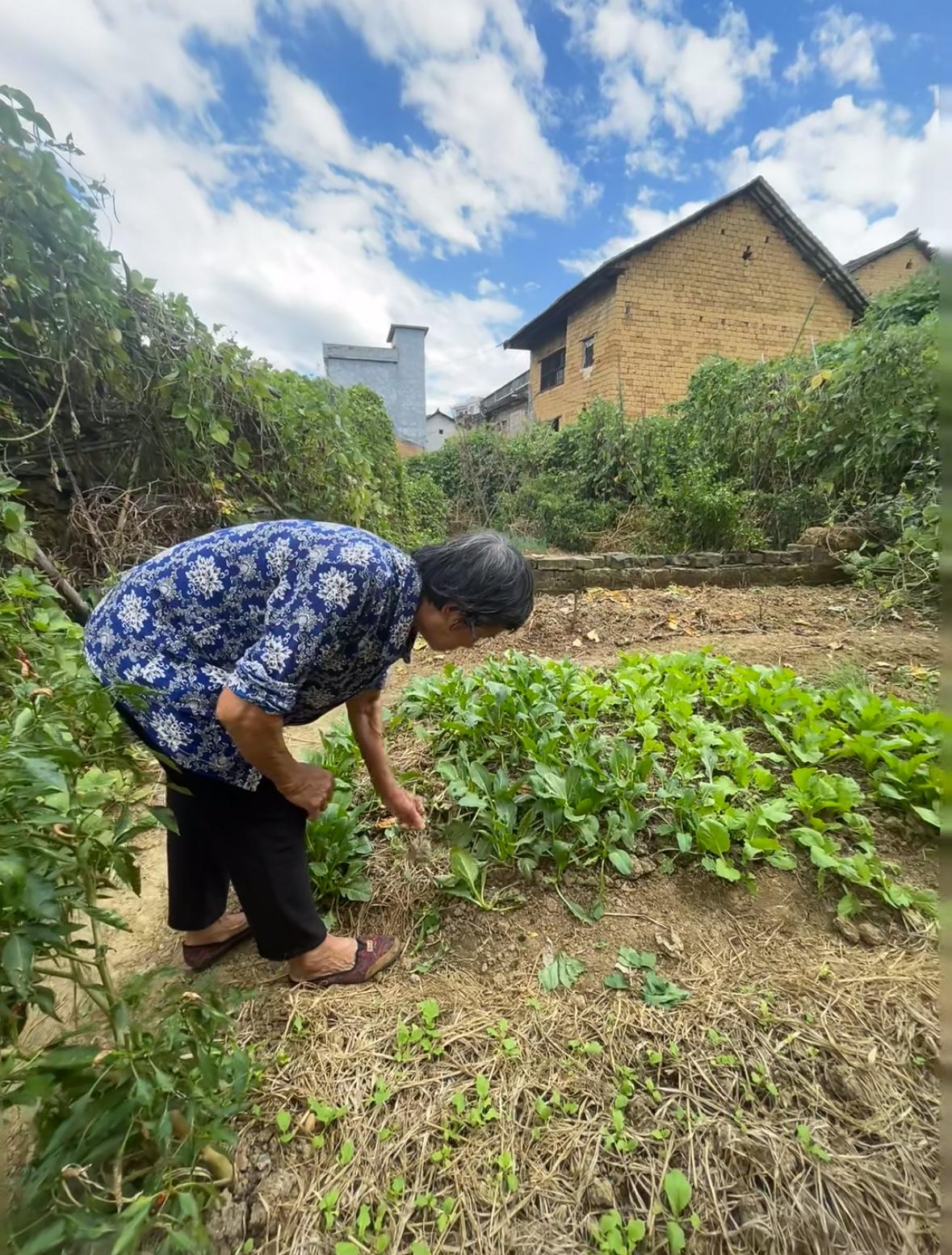 大家千万别相信老一辈人的话，她们都是骗子！！有时候，我真搞不懂，为什么我外婆