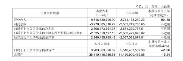 北汽蓝谷2025上半年营收95.17亿北汽蓝谷提到这家公司小伙伴们是不是很陌生