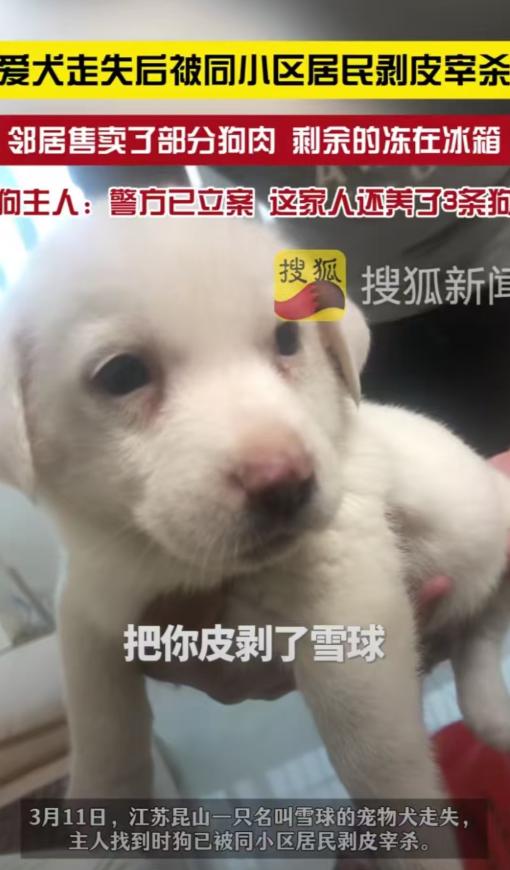 苏昆山，女子没关好门，家里的狗跑了出去，结果被邻居老人剥了皮把肉卖了。女子和丈夫