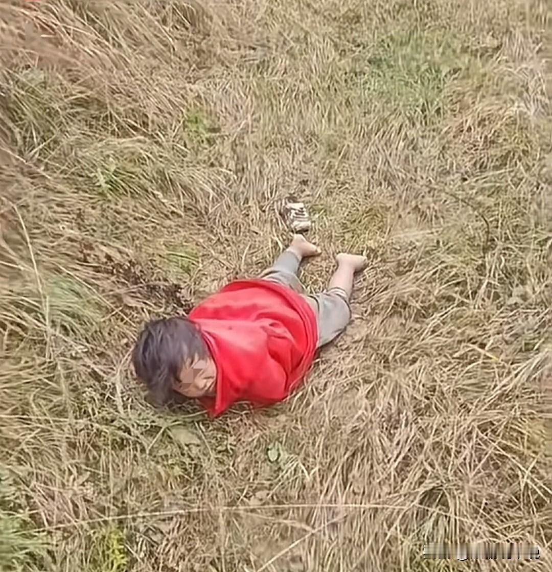 刷到过那么多走失儿童大多数都是以悲剧收尾辽宁这个4岁女童能够被安全寻到，有一
