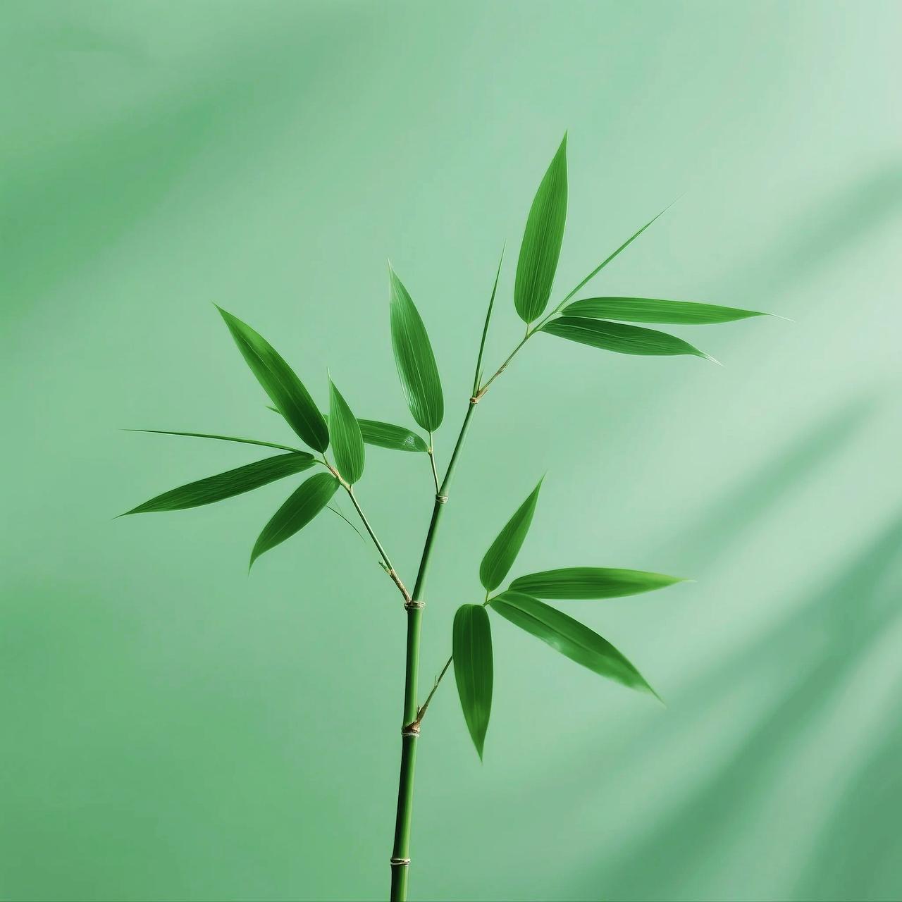 一位百岁老僧曾说：“今生六亲缘浅的人，其实是修得最好的人。他无债一身轻，心里