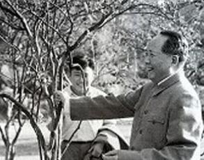 1954年，毛主席在杭州失踪4个小时，罗瑞卿怒喝：你们怎么工作的这事儿得从19