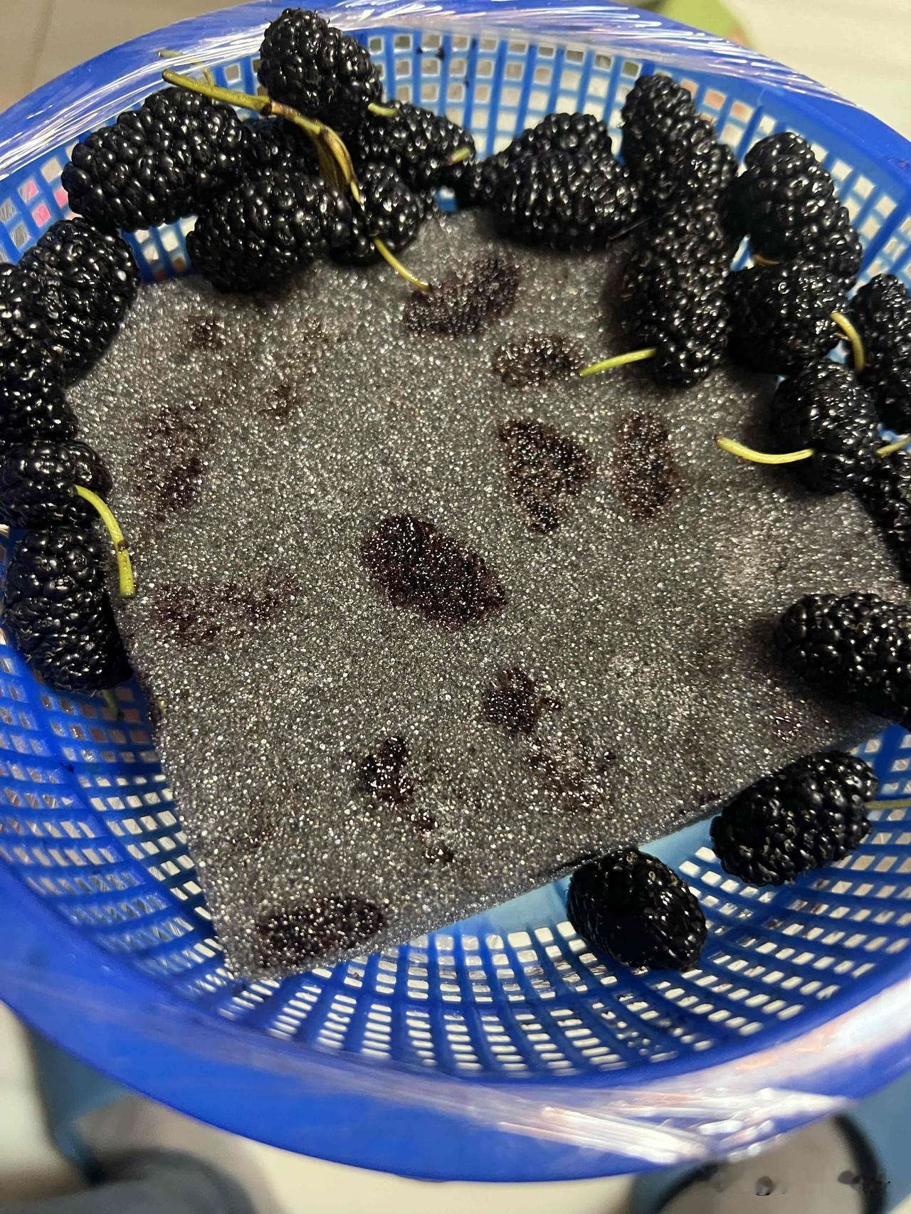 大家发现了没有，草莓和桑葚等水果如今在超市不按斤计价出售，而是按盆出售，