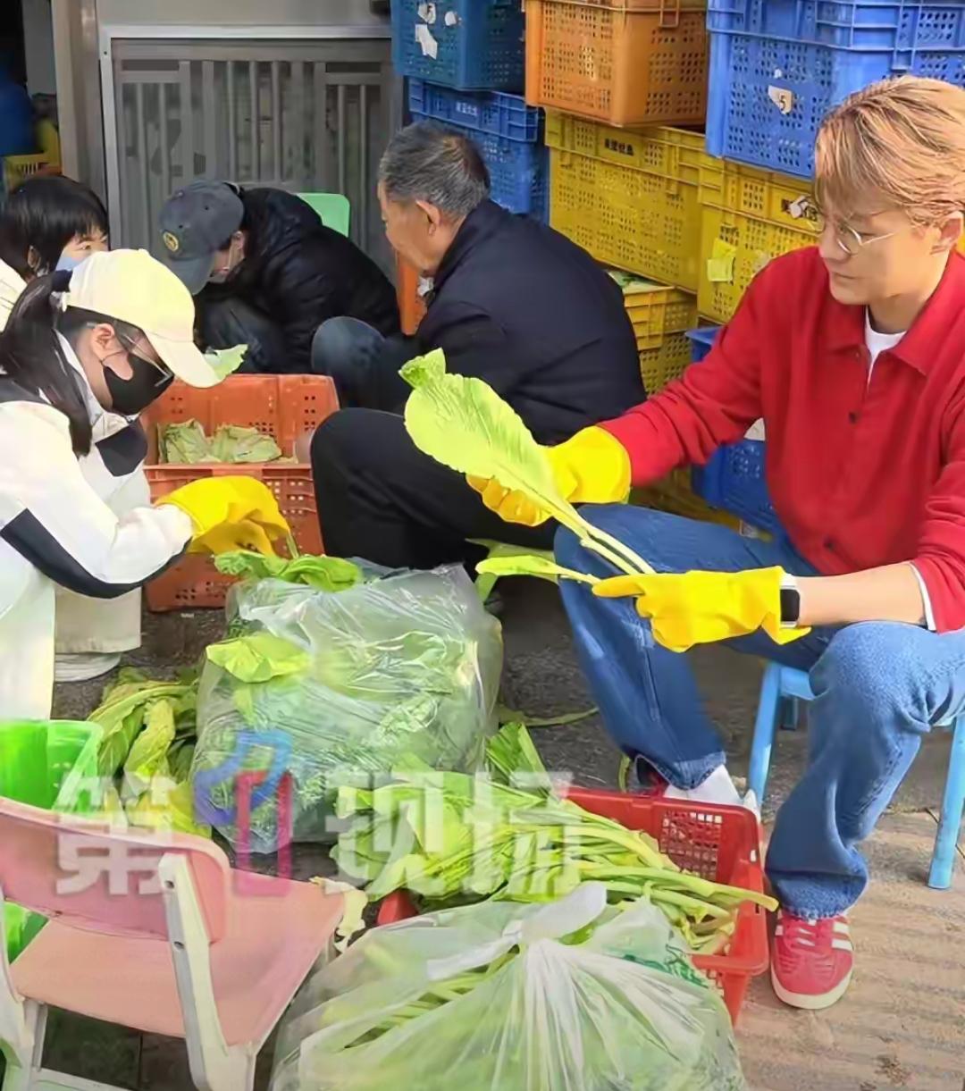 知名男星被拍到在餐厅洗菜择菜！昔年光环褪去，如今重引关注！网友：太难得……别