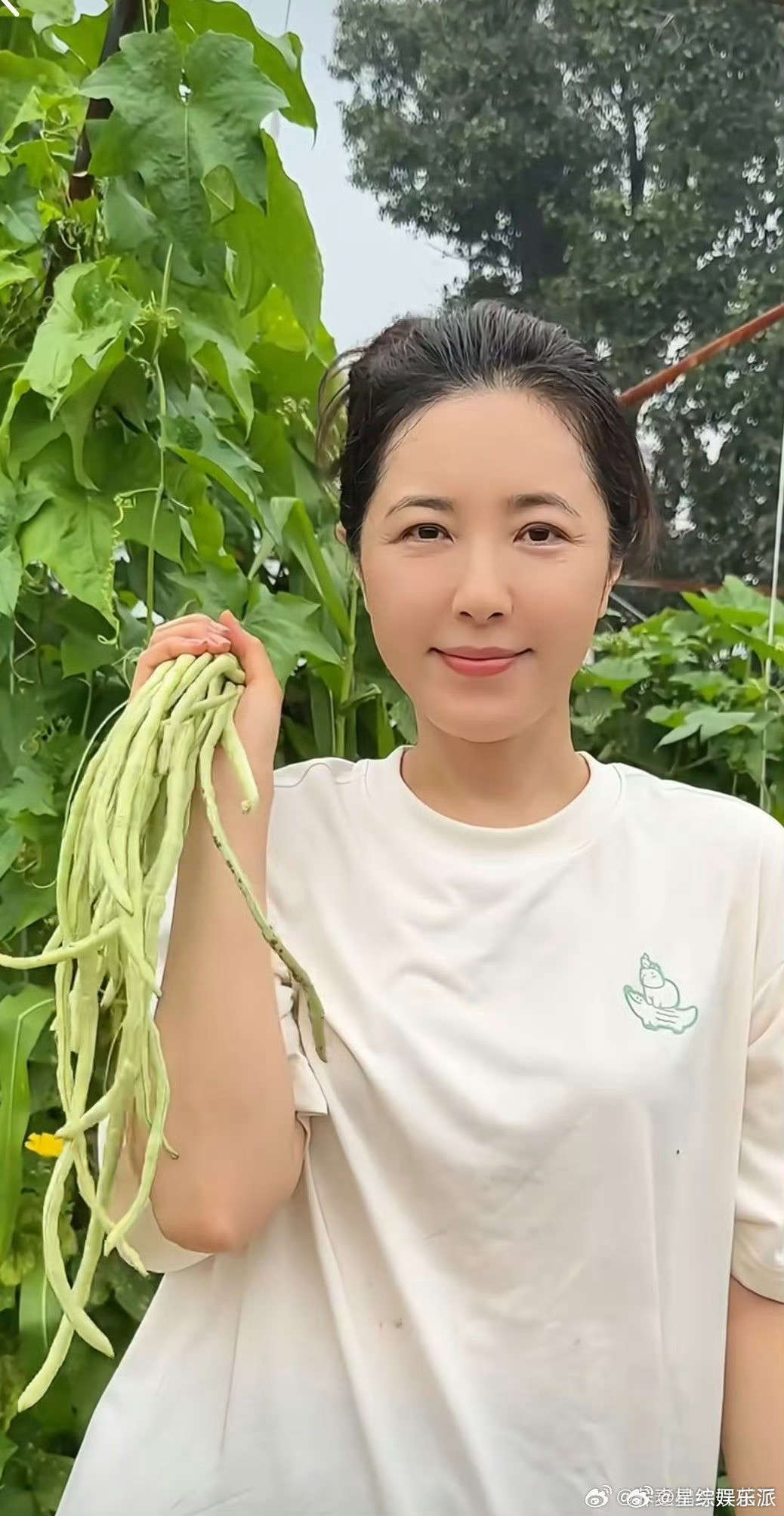 曾黎种菜收菜的过程好治愈曾黎分享的种菜日常好治愈！从种菜到收菜每一步都超美好，劳