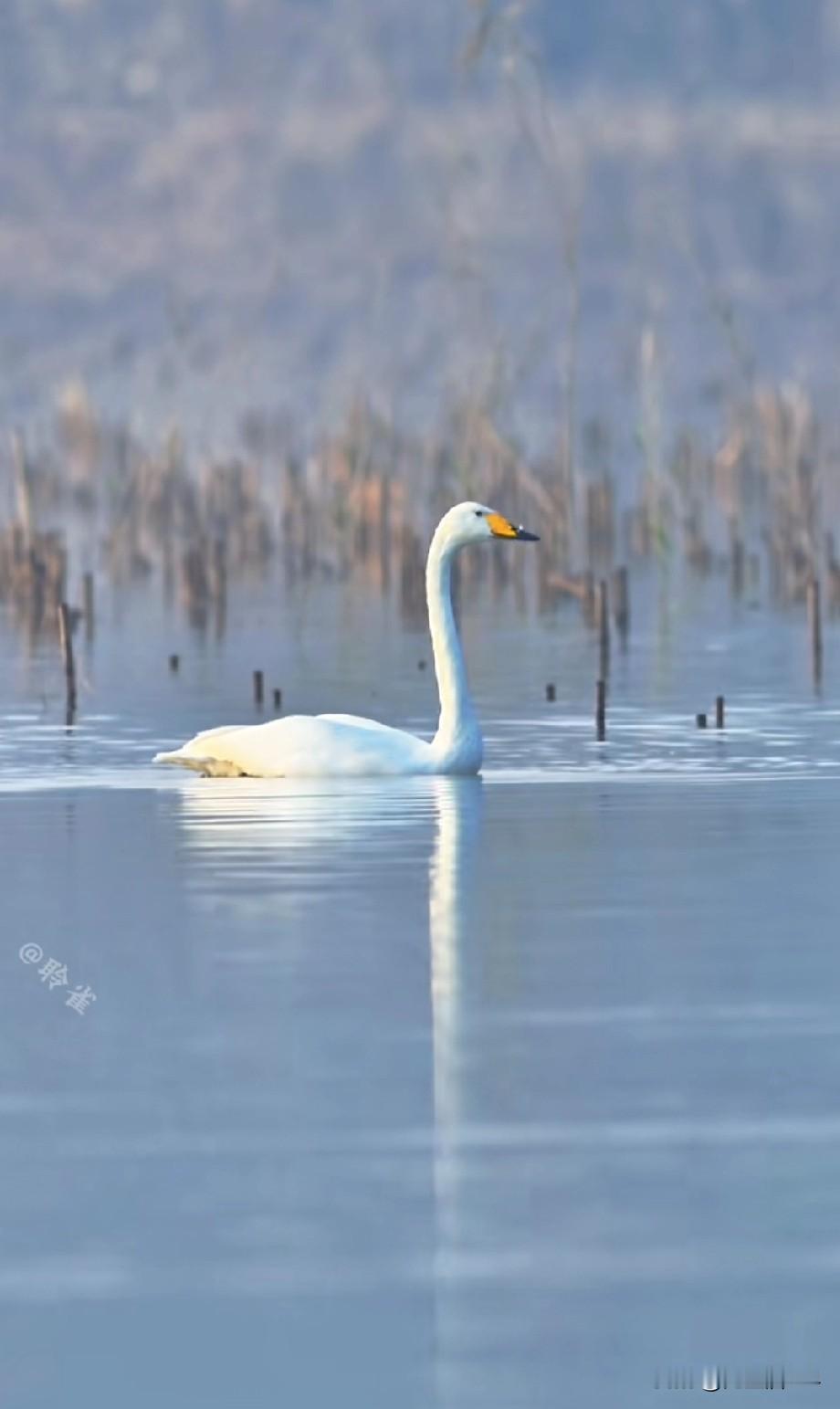 得了胃癌后，不要妖魔化它，惧怕，而是坦然面对，积极治疗和生活。因为