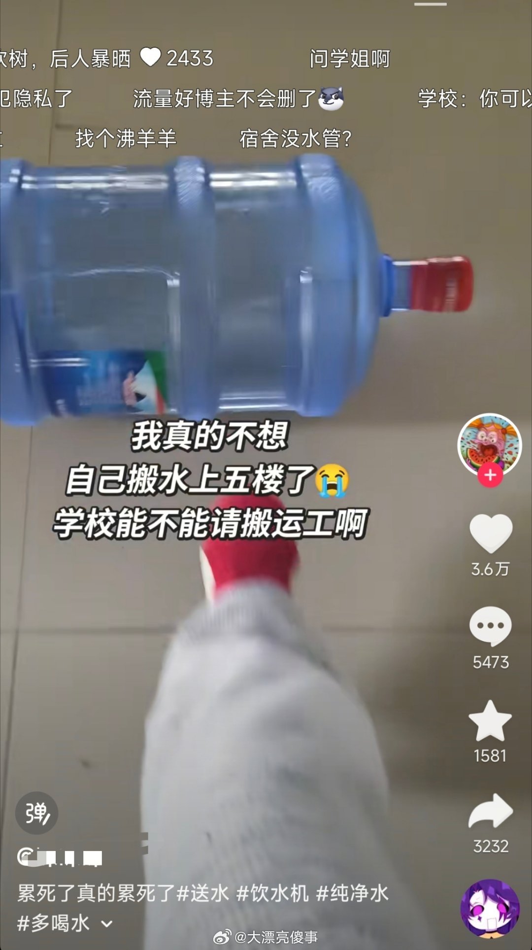 前人砍树，后人暴晒。