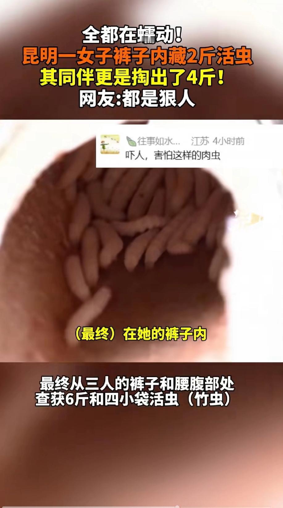 全部都在蠕动！昆明一女子裤子内藏2斤活动虫，其同伴更是掏出了4斤。海关关员发