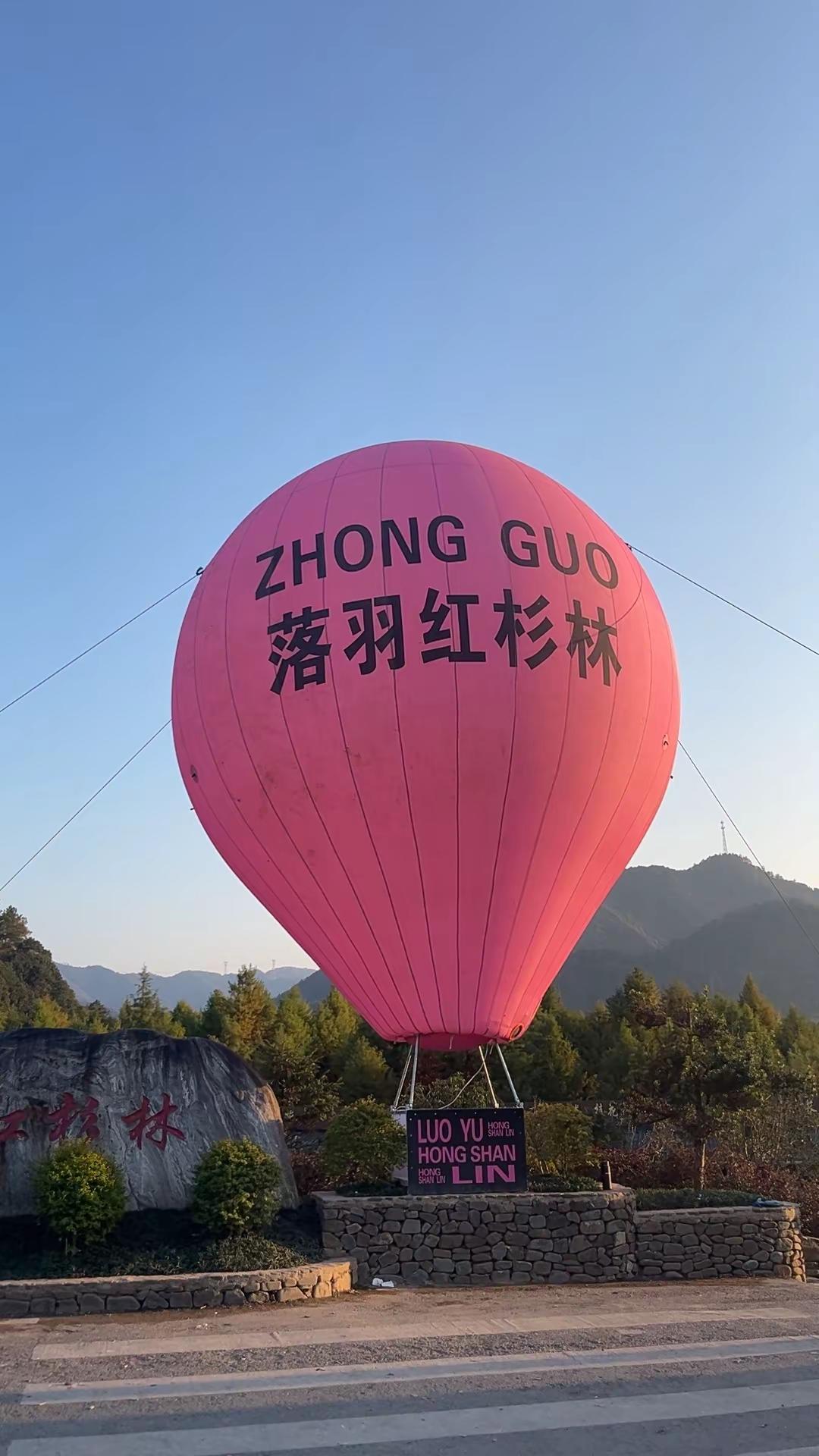 兄弟姐妹齐出游，欢声笑语乐无边，美景作伴情更深👍