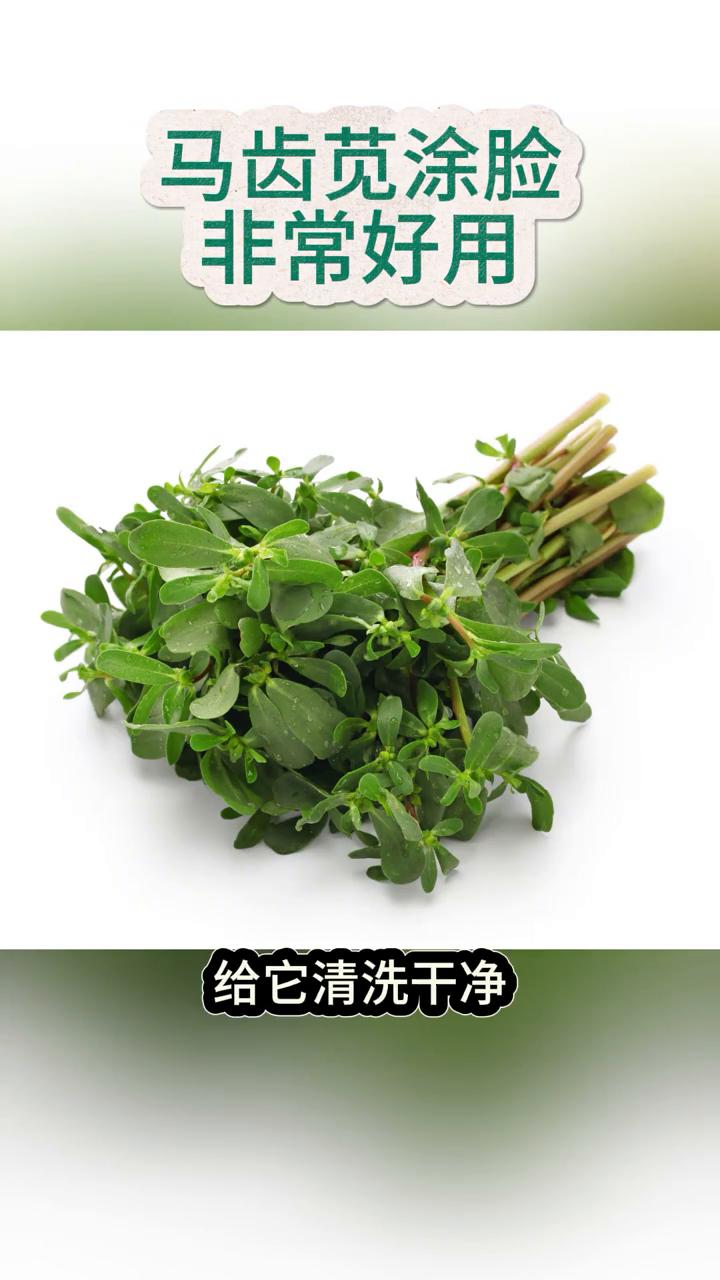 马齿苋涂脸非常好用。一定要用马齿苋去擦脸，再牛的护肤品都不如农村的马齿苋。马齿