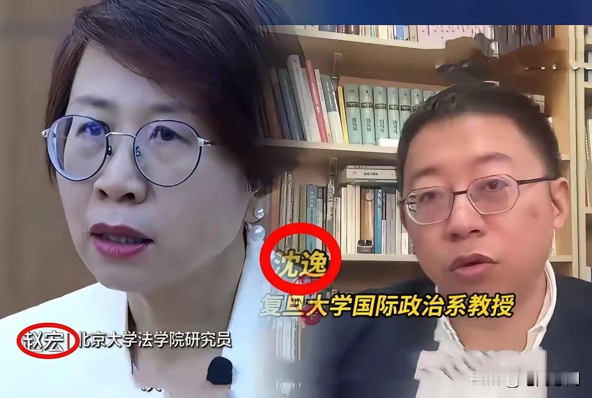 赵宏从北大校友名录中被悄悄抹去，沈逸其实是“帮了忙”！先前赵宏在北大讲堂里一句