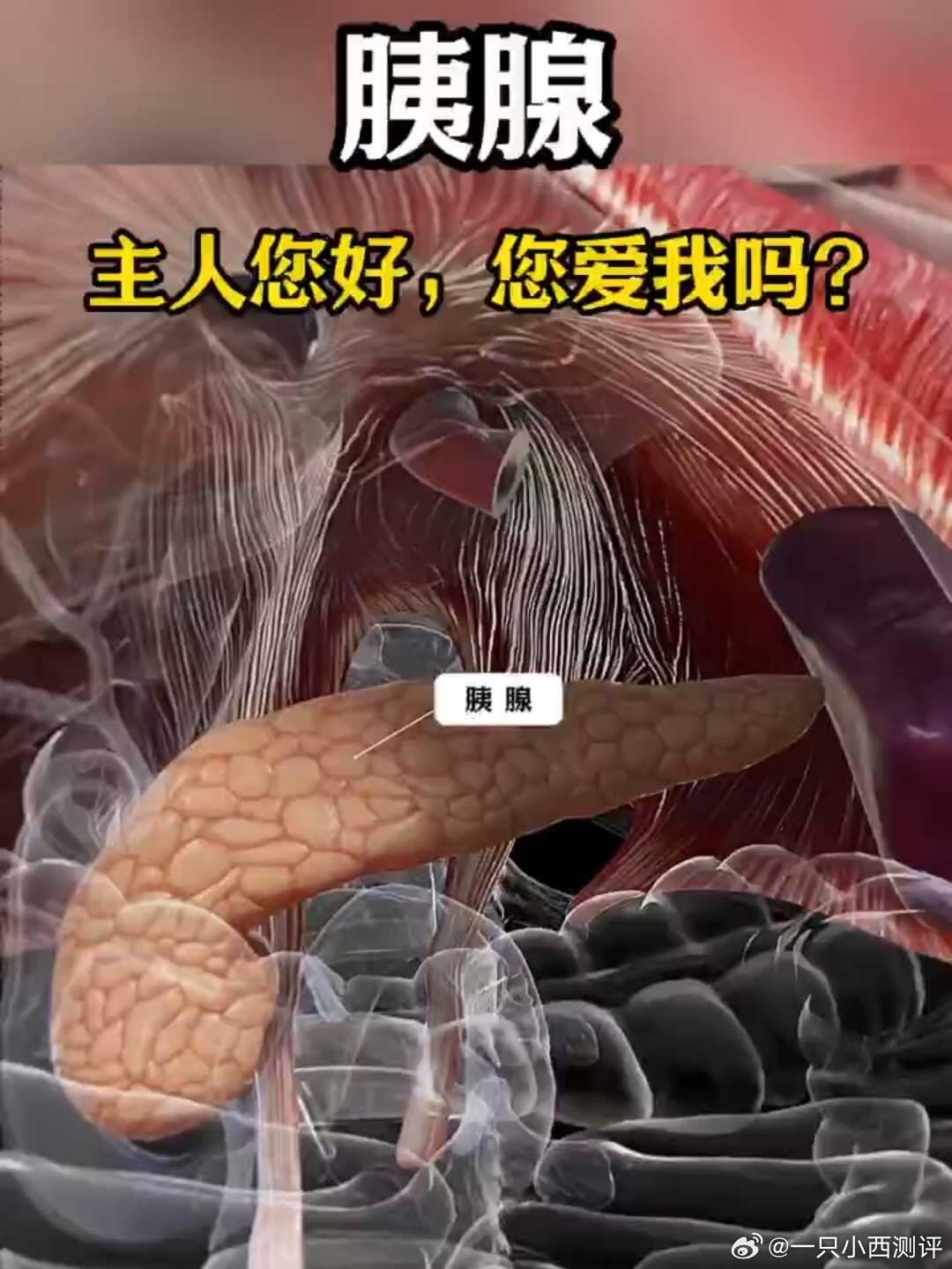 连续吃6个月水煮菜胰腺坏死了1️⃣极端低脂饮食→肝脏代谢紊乱长期水煮菜导致优质
