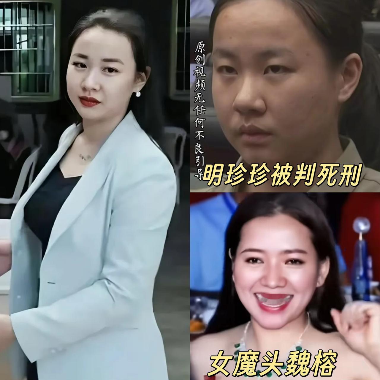 明珍珍被判死刑！干的电诈勾当丧尽天良该用枪决！死有余辜一点不冤，但还有个女魔