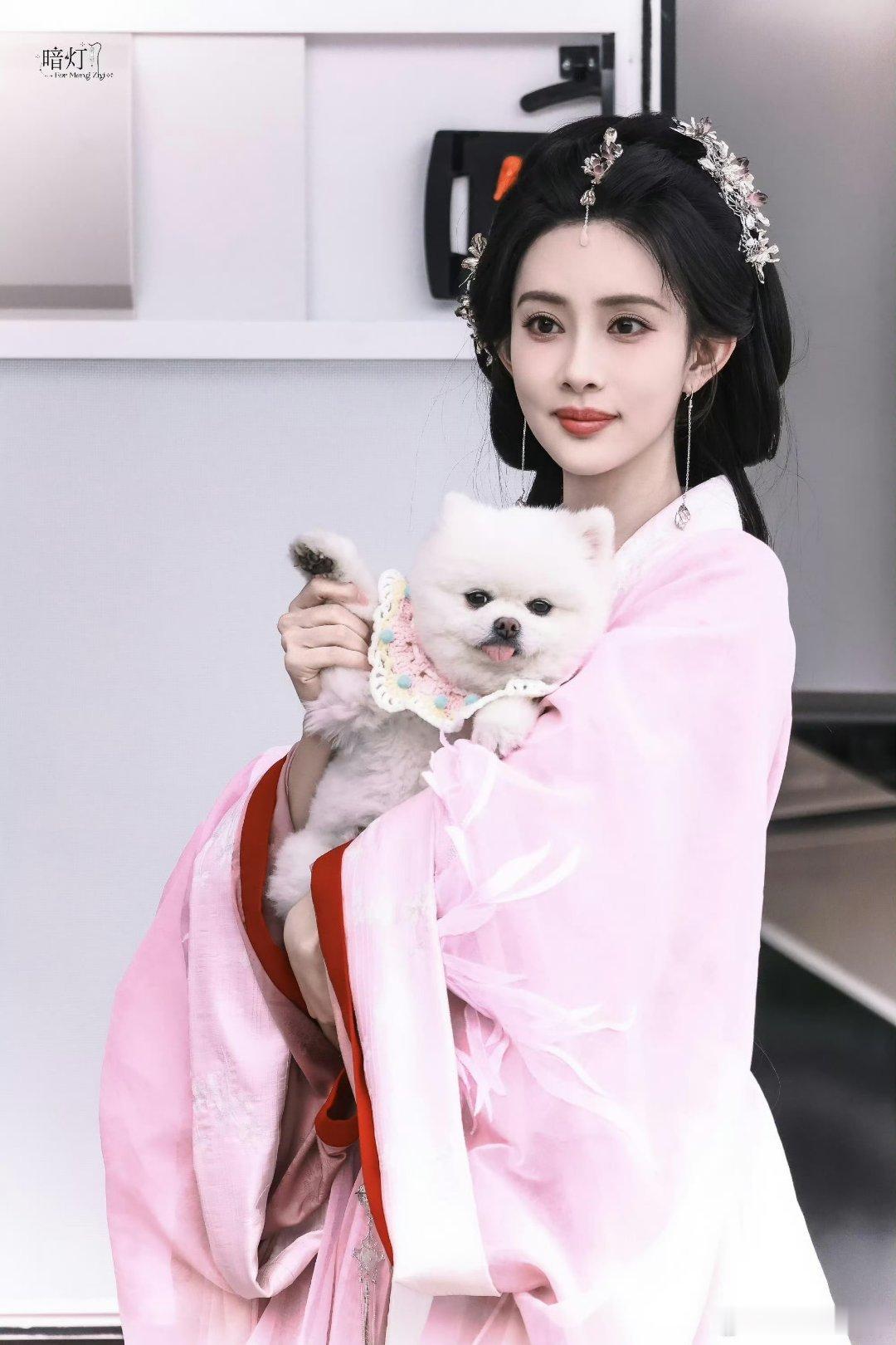 孟子义的狗巧克力又塌房了传下去，孟子义的狗巧克力又又又塌房了！前两天还在给姜桃花