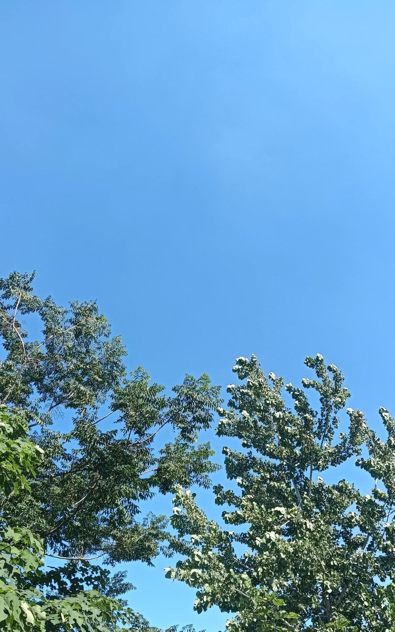问一下女同胞们，作为儿媳妇，你觉得下面这十条你家婆婆能做到几条，会是满分吗？1