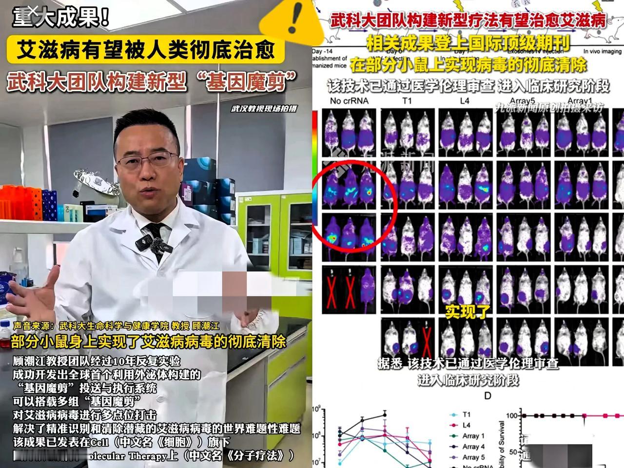 刷到这消息直接激动到攥拳，武汉这次真的凭硬实力炸场了！武科大，在搞艾滋病