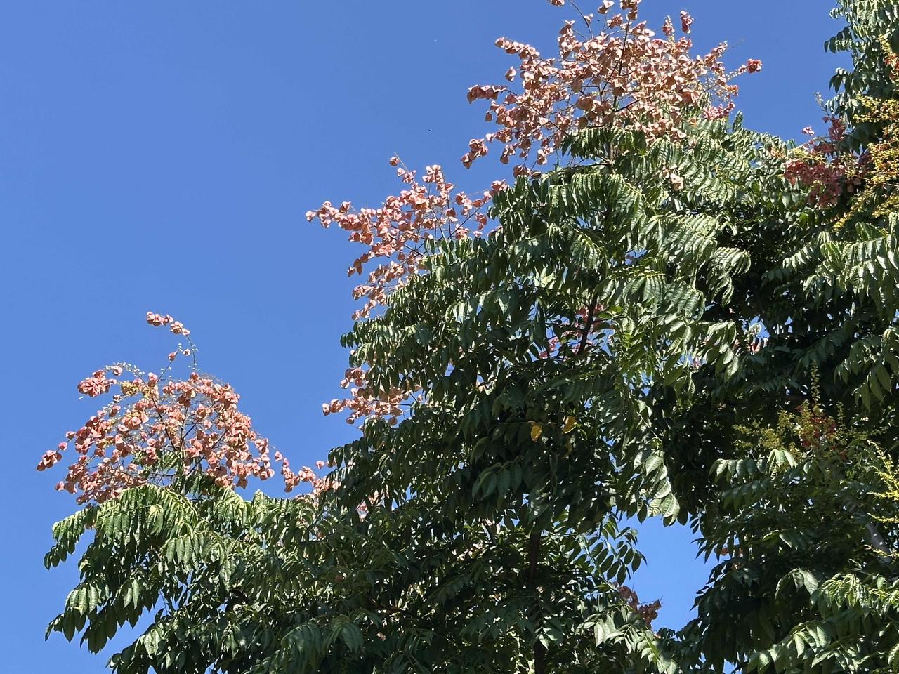 老爸今天出院了，自9月9日住院至10月6日出院，都快一个月了，辗转于县城医院和杭