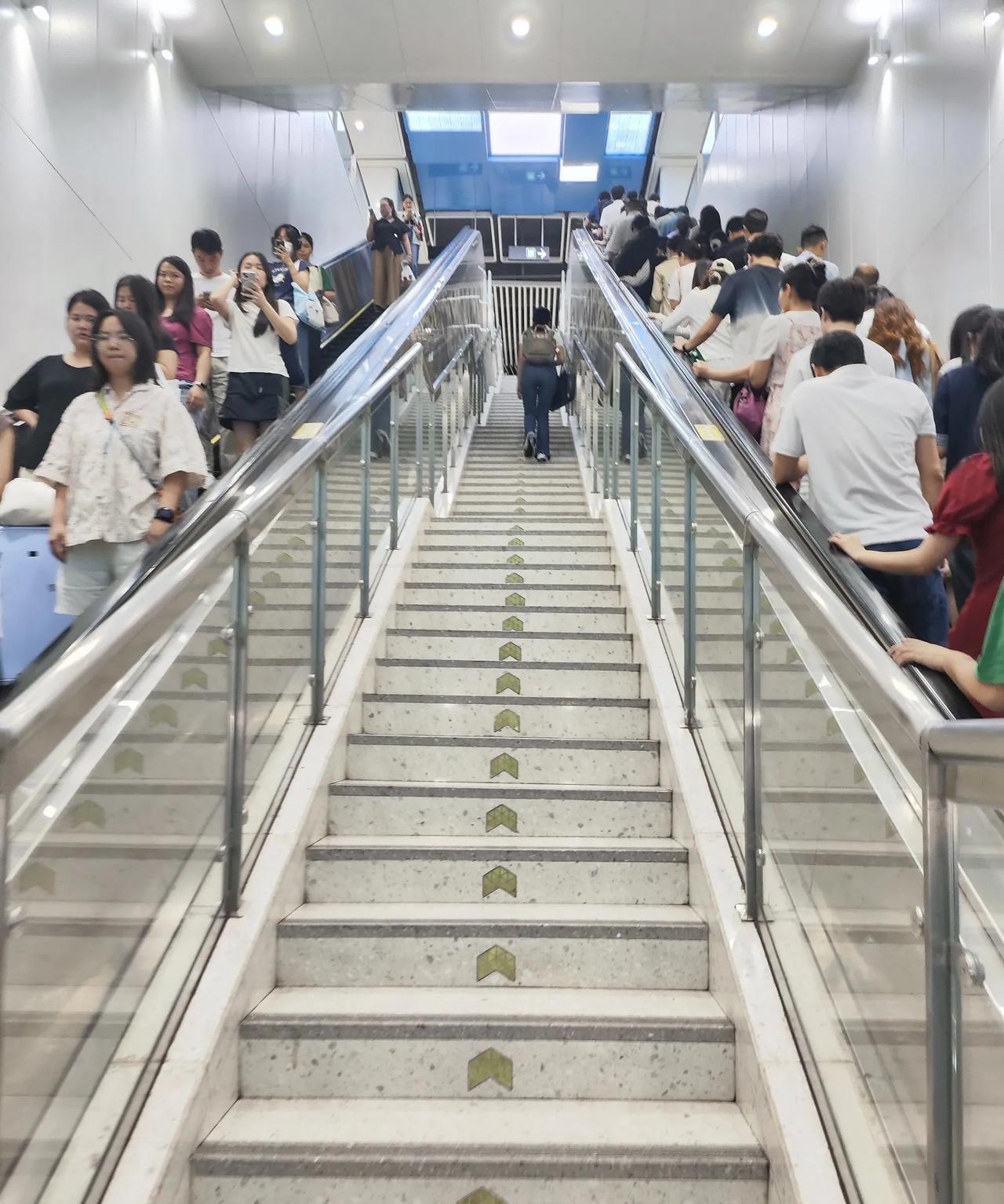 这张图说明什么了道理？