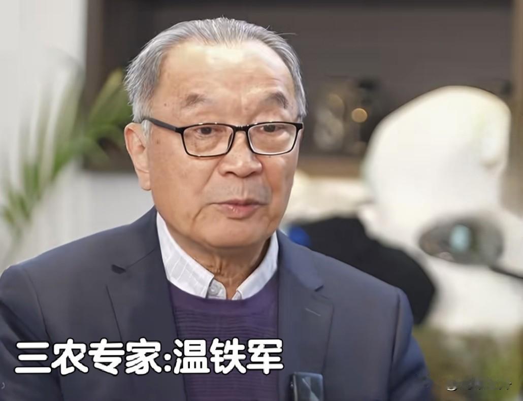 温铁军：我们的县城，其实是个“微型国家”！但五级政府背后，这笔账该算算了你有