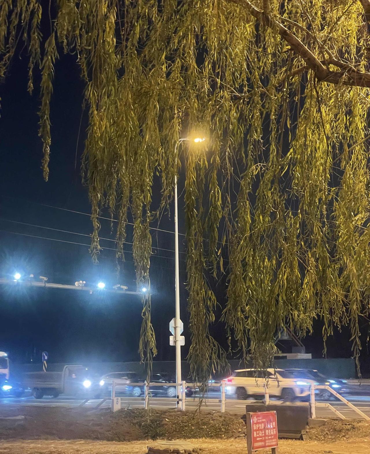 我做过一件很爽快的事，就是要弟弟与他老婆离婚。那是多年以前，我在街上亲眼看到弟媳