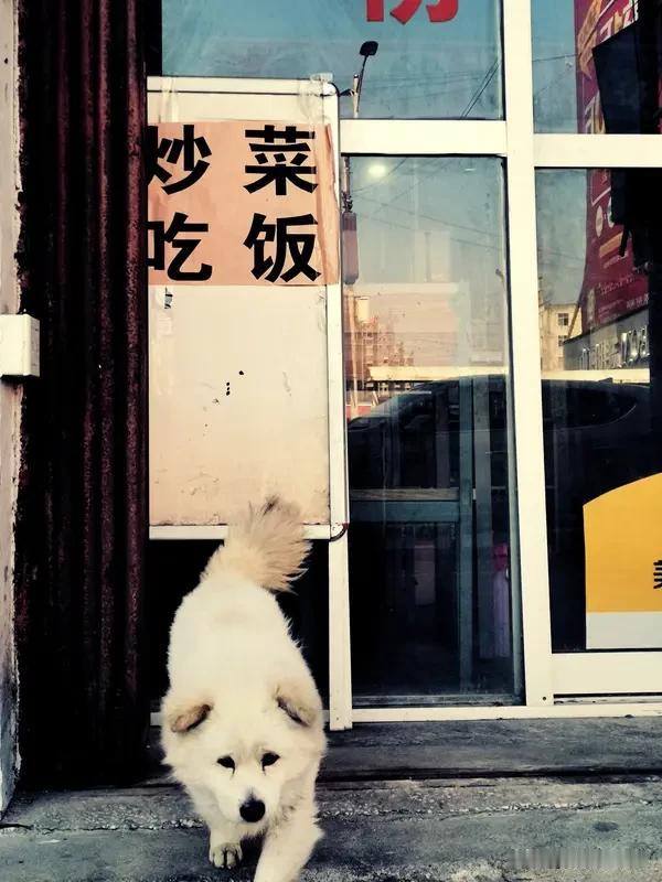 狗都不理表妹今年34岁，仍在挑男人。不是身高差那么几公分，就是收入少一千块；不