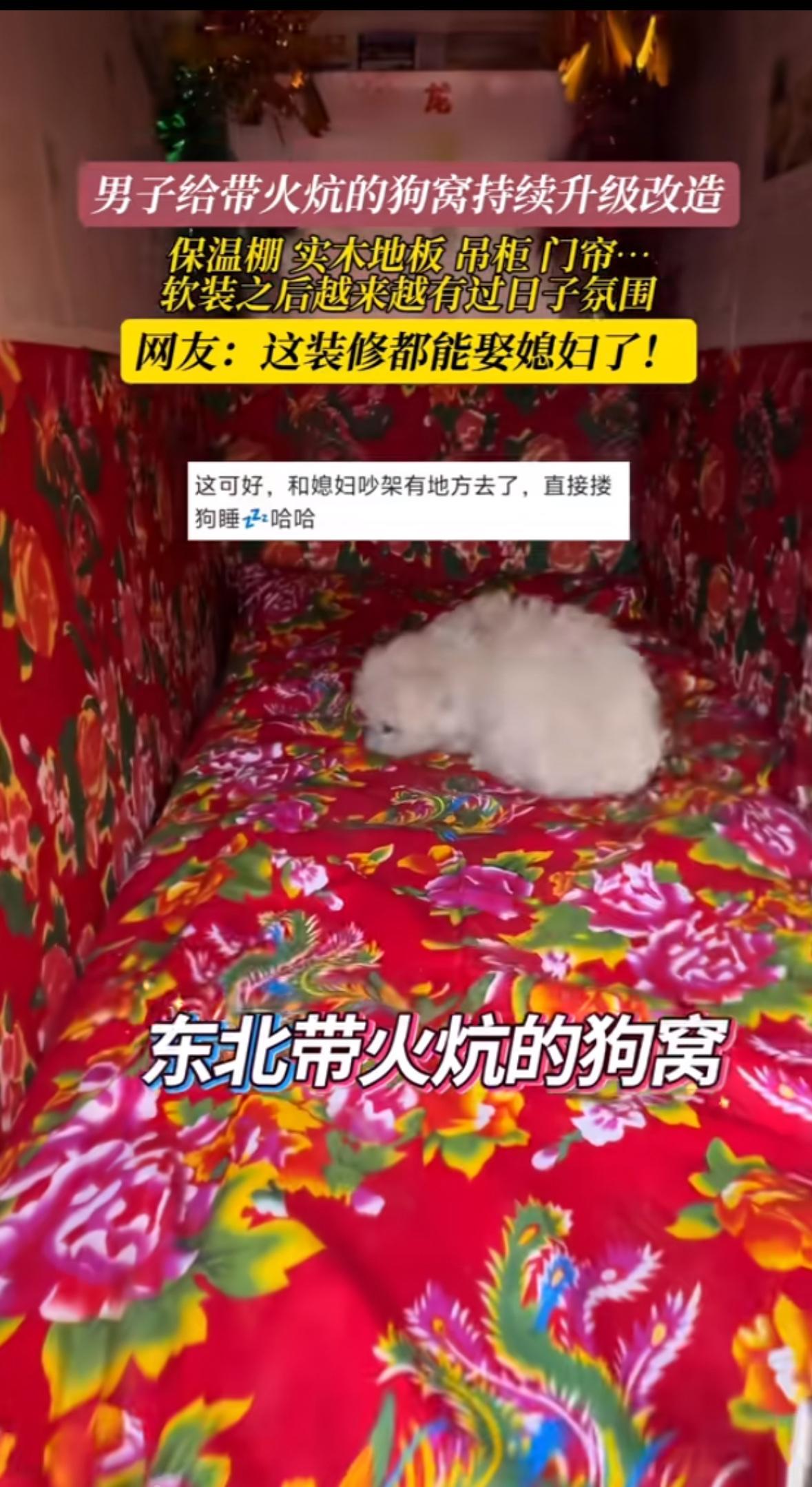 “别人家养狗是养宠物，我家养狗是养‘祖宗’！”上海王先生最近在朋友圈火了——他花