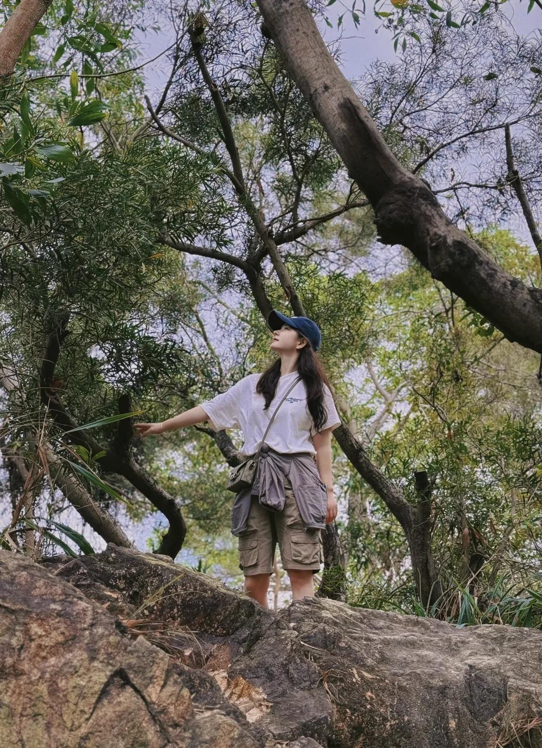 深圳燕晗山｜带爸妈0元吸氧的温柔路线💚全程平缓不累腿！树荫超足不怕晒，太适合