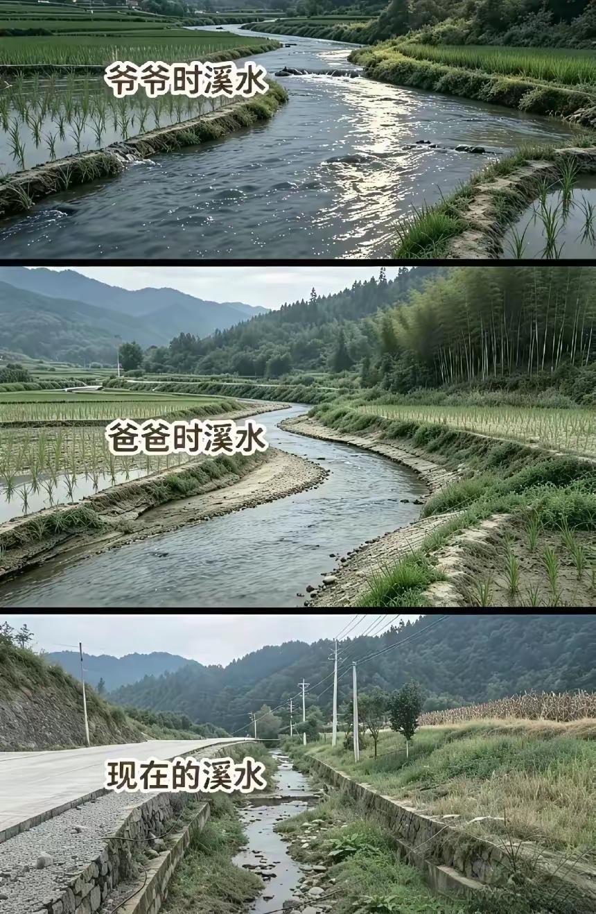 比较的很到位。