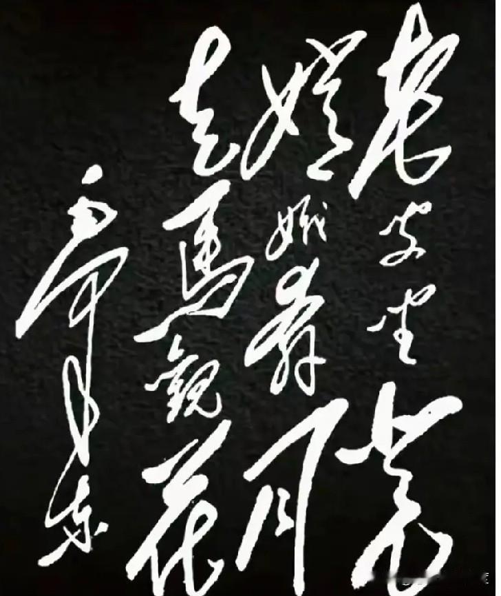 什么样的字，单是看着就让人心潮澎湃？这幅草书做到了——笔走龙蛇，墨透纸背，黑