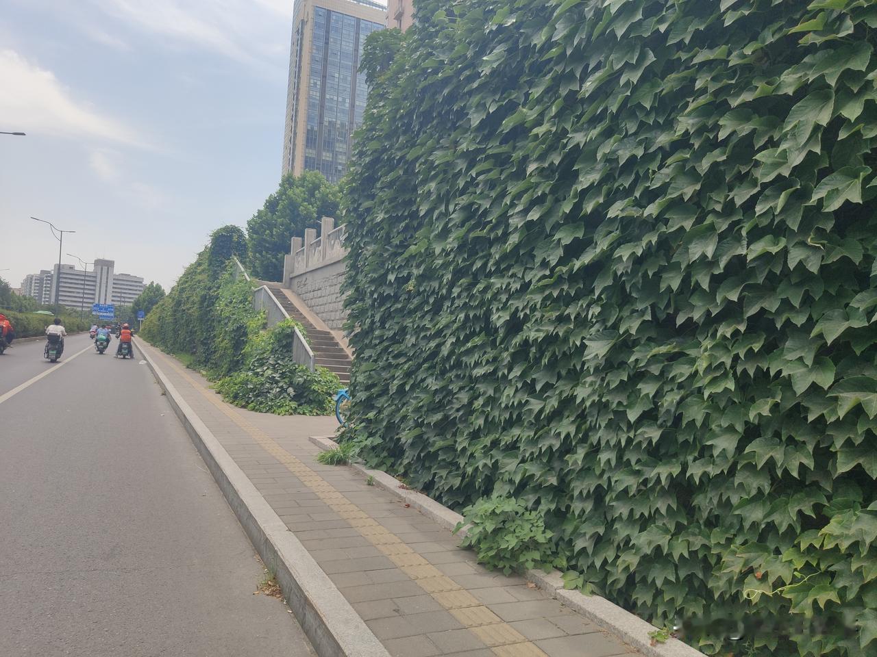 这是我今天中午，在热浪滚滚的烈日下，骑车经过郑州街头桐柏路陇海铁路线下穿隧道时拍