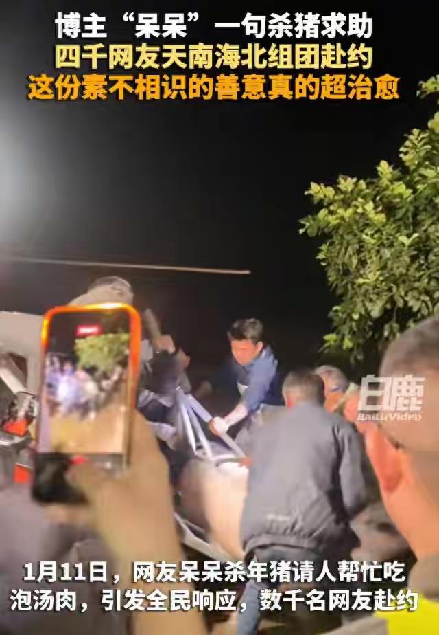 重庆女生呆呆发视频请网友帮忙杀年猪，不料引来数千人赴约。村民自发帮忙筹备，警察、