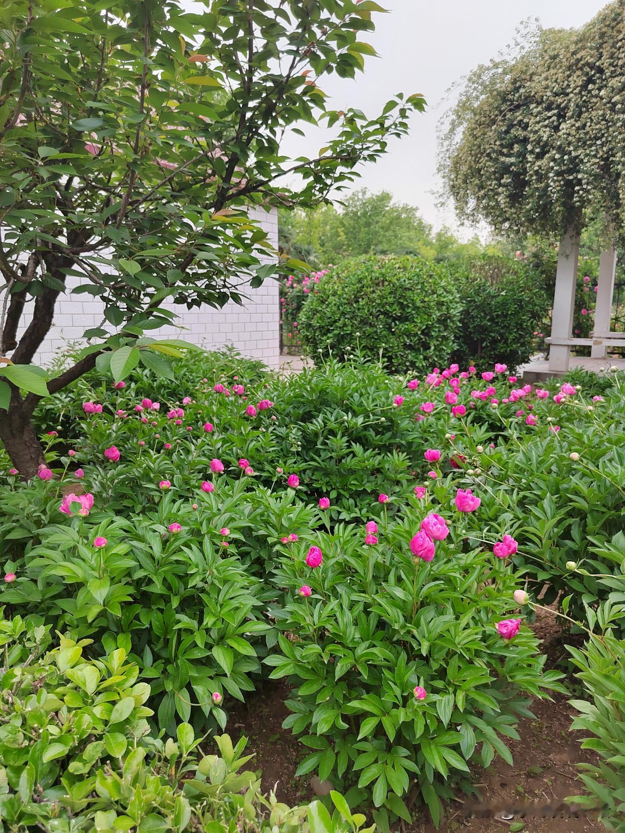 退休后,你的退休金够用吗?每次问到退休金，我都是流下泪两行！我是今年2月份退