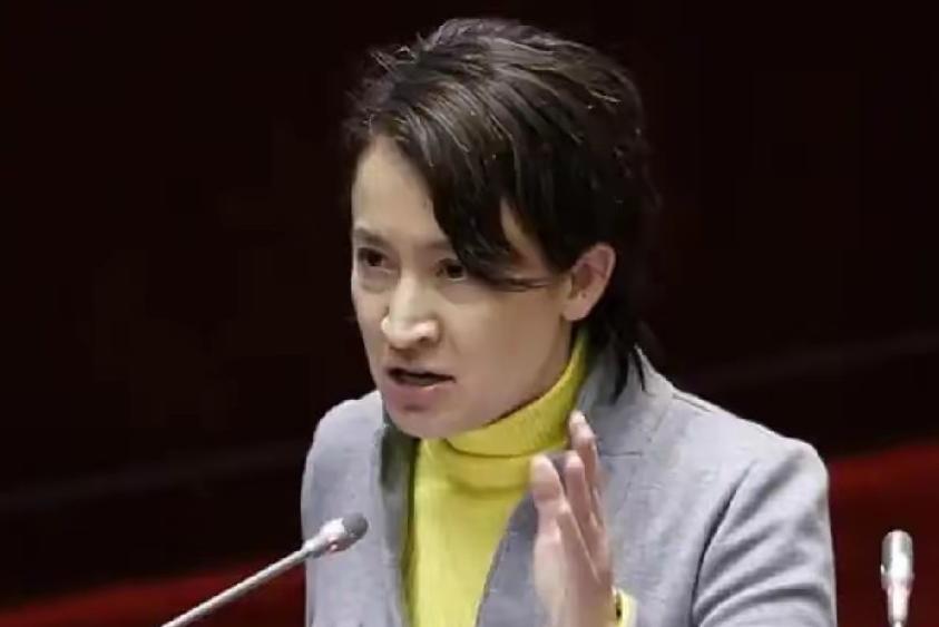 今天，箫美琴恼羞成怒，终于忍不住发话了！国民党确定将以智库交流的形式赴陆展开