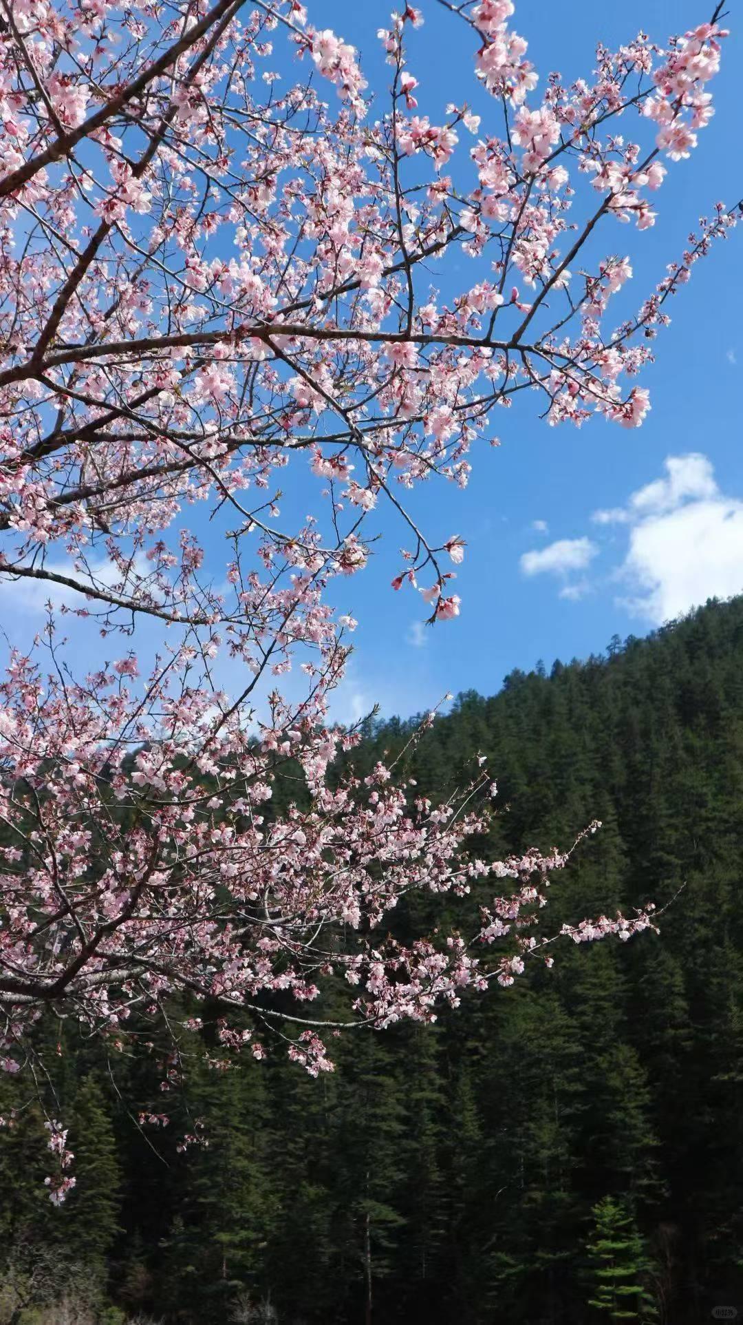 今天读到的金句这是谁打的比喻，这么有哲理！[赞][赞]如果你兜里有86400