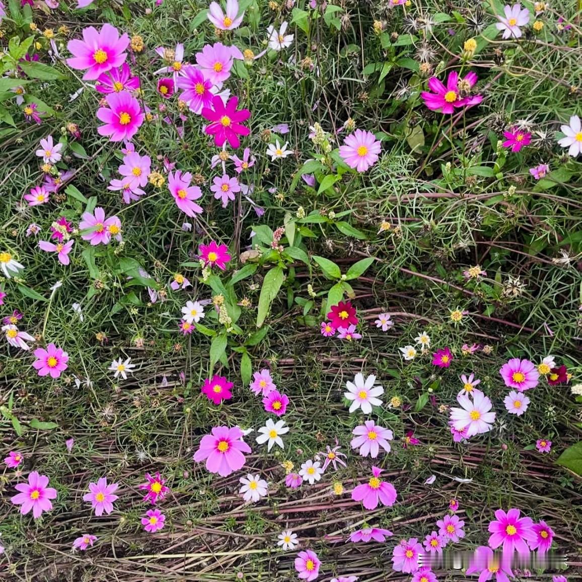 人到老了，最可悲的就是，高估了自己在别人心里的位置。以前总说养儿能防老，你辛