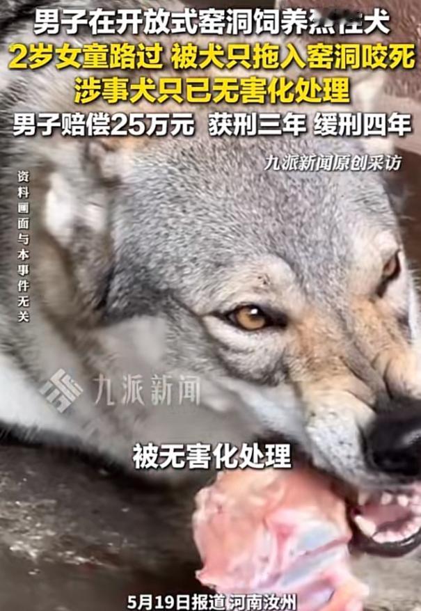 “令人发指！”5月19日报道，河南汝州发生了一起让人愤怒不已的悲剧，48岁男子毛