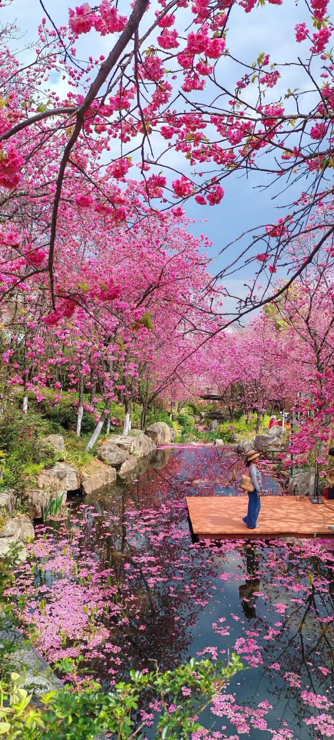 管好自己的嘴，是一个人顶级的修养老话说：“言多必失，沉默是金。”年少