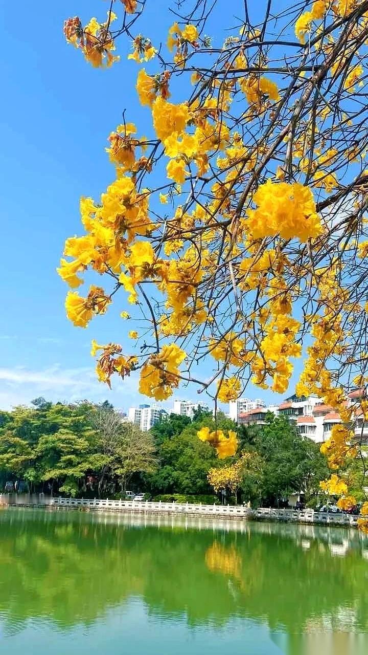 拼死拼活熬了16年，终于买上了新房，结果一开门，请进来一个快30岁的“活祖宗”。