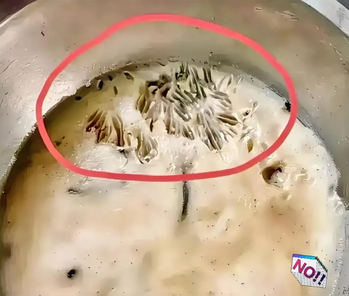 肠子都悔青了！昨天精心熬制的香喷喷猪油，随手放在厨房就忘盖盖子，今早睁眼一看，当