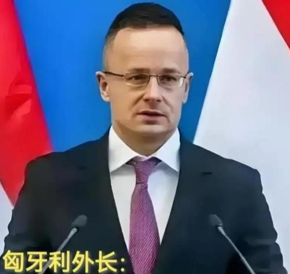 现在全欧洲最后悔的就是德国了吧！不是因为中国，也不是因为美国，而是因为匈牙利。德