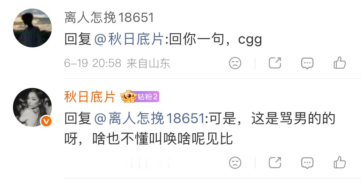 我肚子都要笑裂了这群乐子