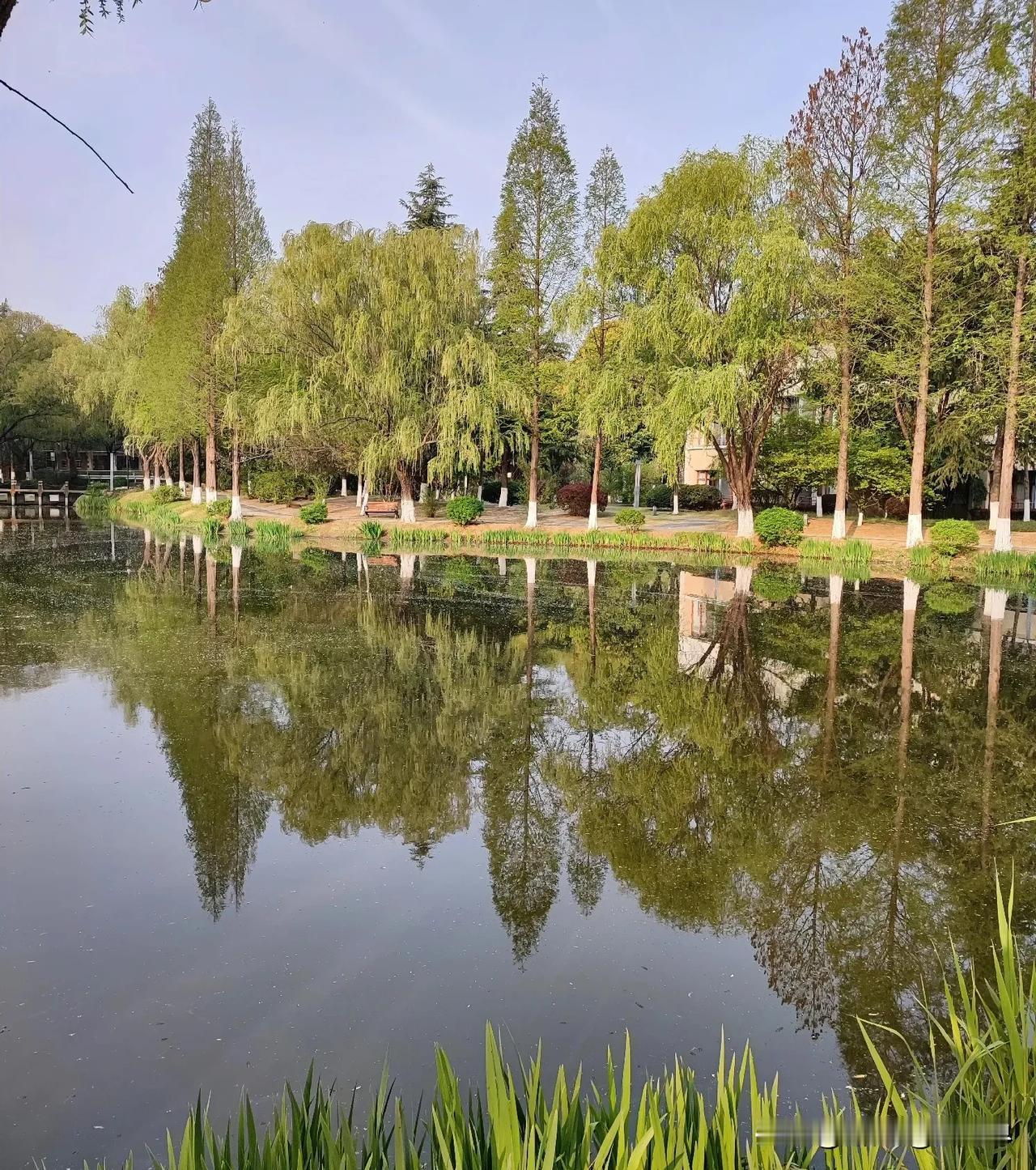 我今天耍了个小聪明，没想到真对了。五一假期高速凌晨免费，合肥到安庆这段路年年堵成