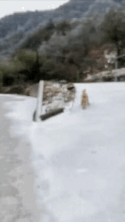 “这路冻得溜滑，狗都卡半路回不去家了！”