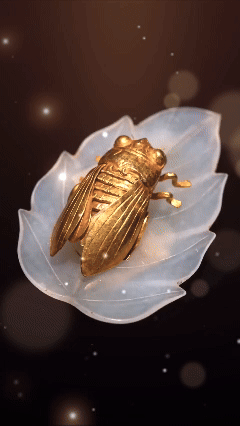 明代弘治年间，62岁进士张安晚迎娶了17岁的女子，作为第四房妾室。五百年后，一男