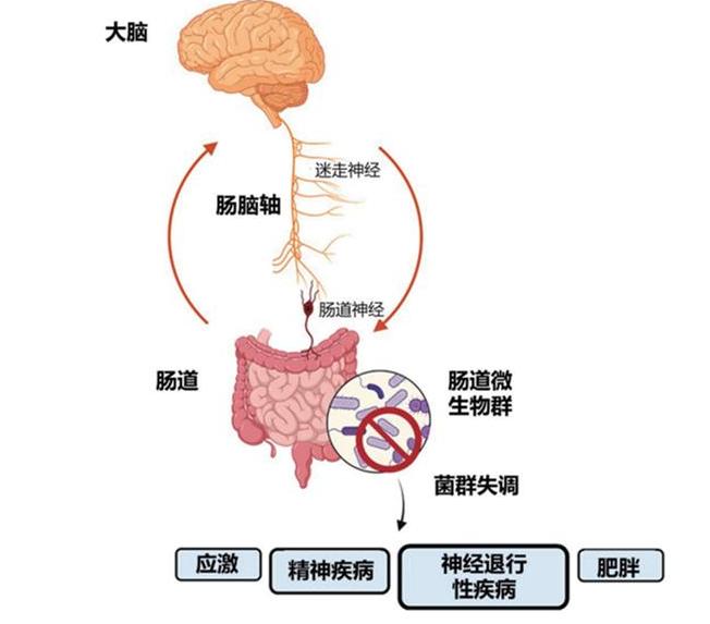 认识肠易激综合征：情绪是肠胃不适的隐形诱因一紧张就腹痛、腹泻、便秘？不少人在